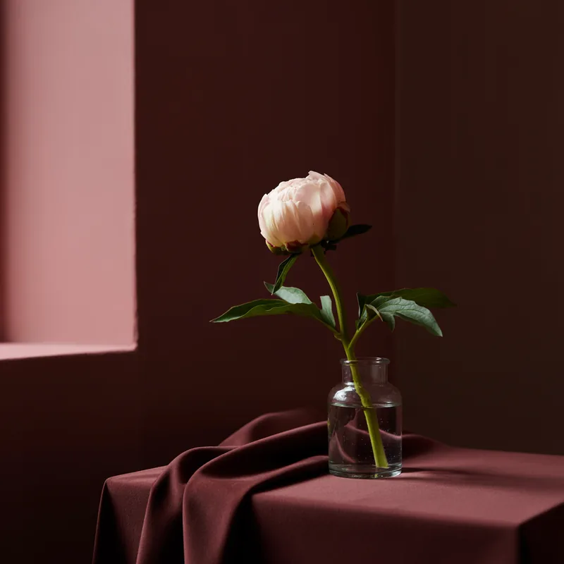 Botão de peônia rosa em vaso de vidro sobre tecido cor de vinho, em luz lateral de janela