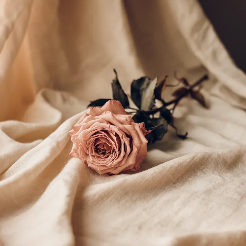 Ginecologia preventiva