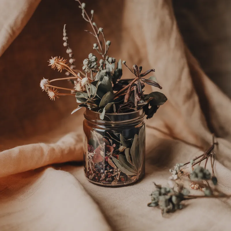 Longevidade e vitalidade